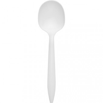 Plastic Medium Weight Soup Spoon